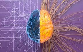 How to Train the Aging Brain