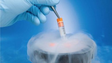 Photo of Aastha Fertility is Best for Frozen Embryo Transfer? Know How