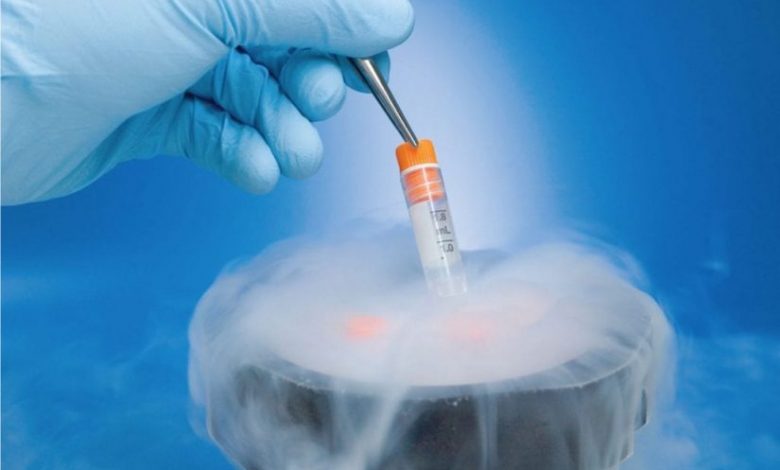 frozen embryo transfer at Aastha fertility care center