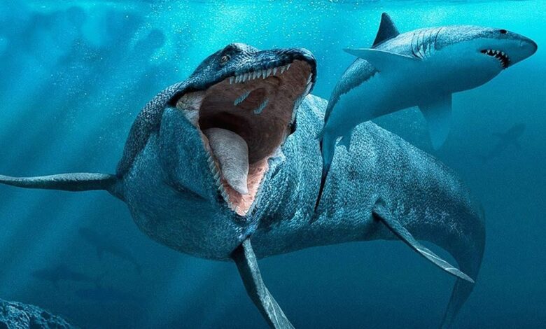 10 SCARIEST SEA CREATURES
