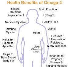 Omega 3s and Weight Loss