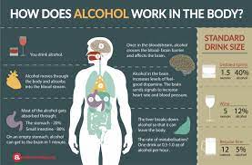 The Effects of Alcohol On the Body – Infographic