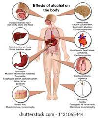 The Effects of Alcohol On the Body – Infographic