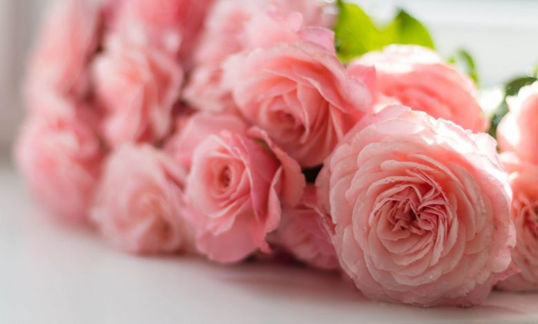 online flowers delivery in Noida