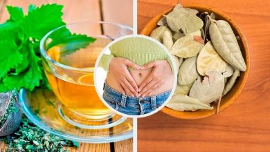 Photo of Best Herbal Treatments for Digestive System Issues