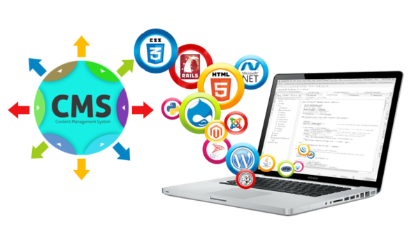 Web and CMS Management Company