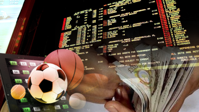 Online Sports Betting Software Business