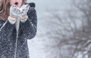 winter-bomber-jacket