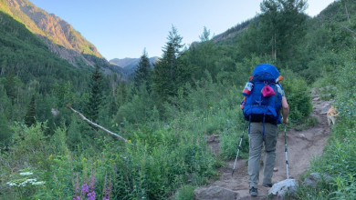 Photo of What should you look for in a portable water filter