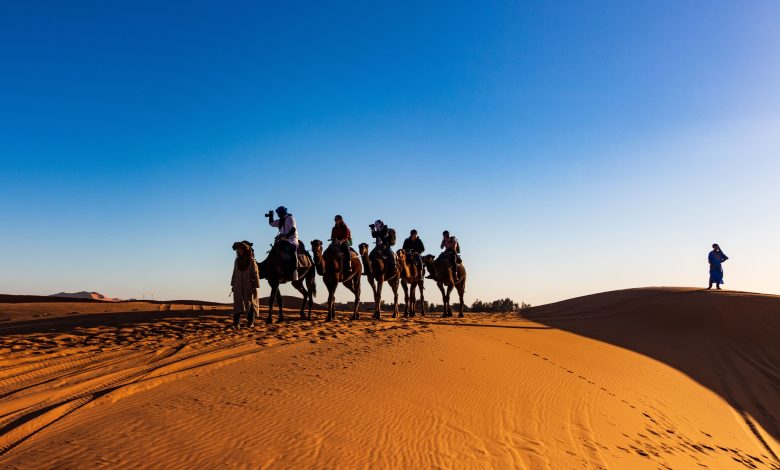 Essential Things Before Making A Desert Safari Plan In Dubai
