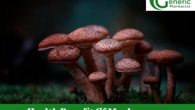 Photo of Health Benefit Of Mushrooms