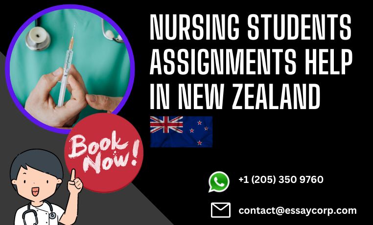 nursing assignment help