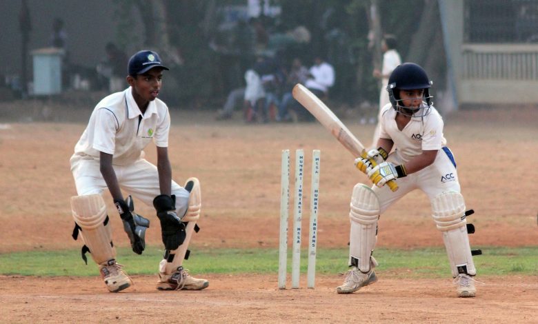 Kashmir Willow cricket bat